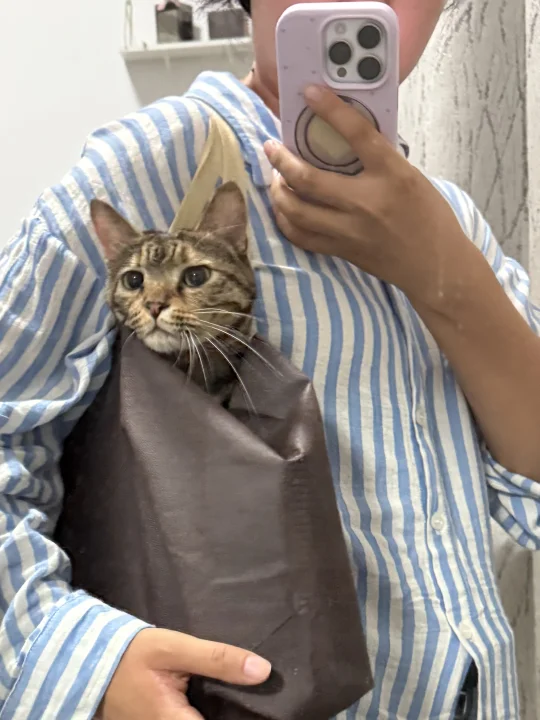 建议打开实况观看