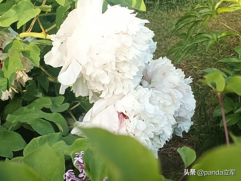 高三老师太不容易。家庭，上有老下有小。事业，肩负着学生的未来。
年富力强的年纪，