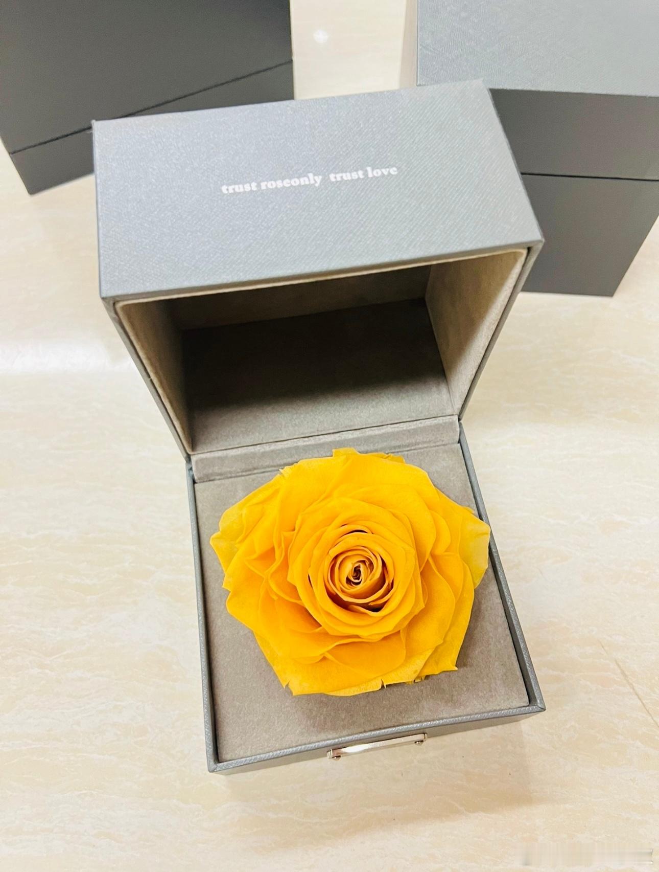 一只RoseOnly的永生花，当初买成700块没送出手…听说这花只能送给一个人，