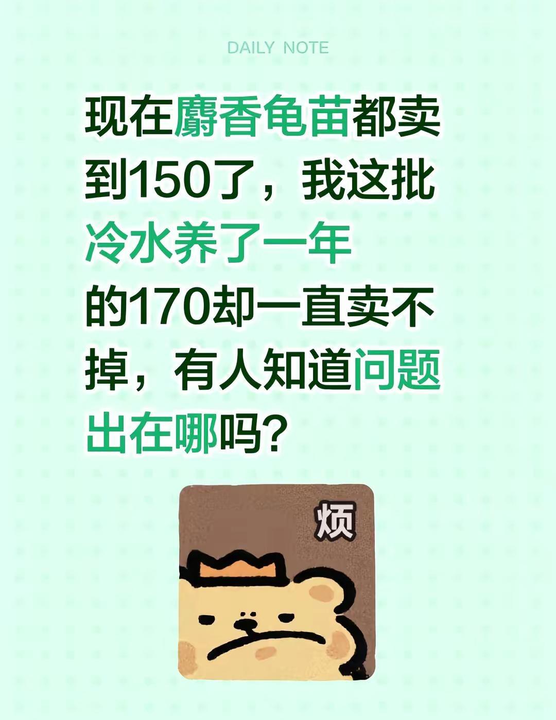 现在麝香龟苗都卖到150了，我这批冷水养了一年的170却一直卖不掉，有人知道问题
