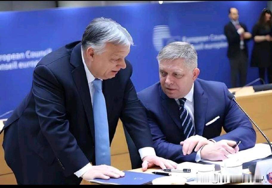 你觉得北约会散伙吗
 
要说北约会不会散伙，其实短期来看，基本不可能，可长期也满