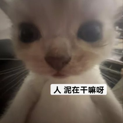分享图片 