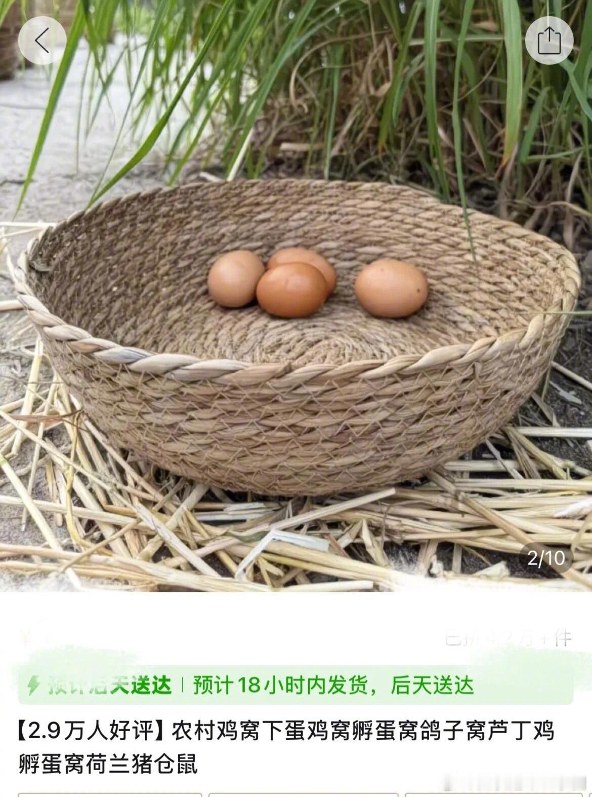 当我不小心点开一个鸡窝的评论 也太搞笑了“鸡很喜欢，下了一天猫蛋” 