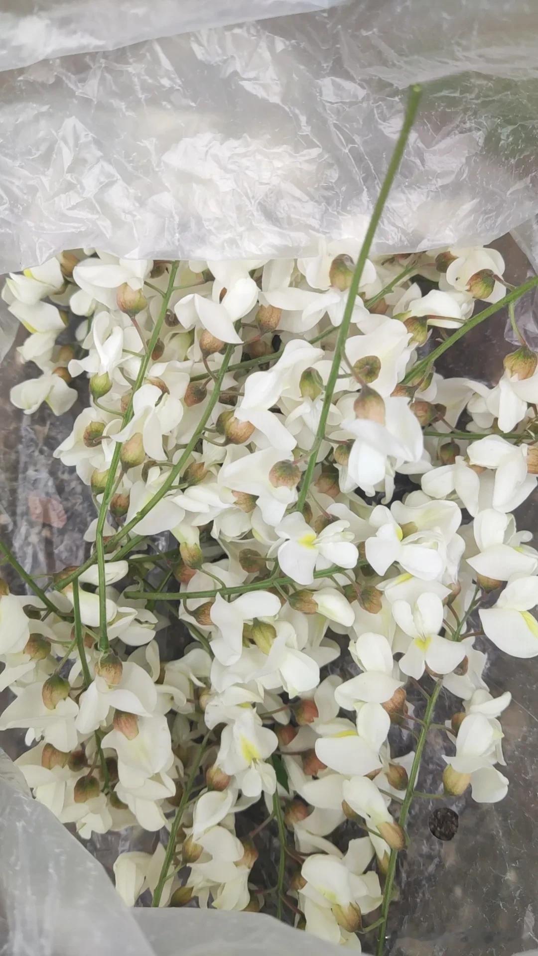 戳这里，一起来集邮>几年没在家过五一劳动节了，今天在家真正过个劳动的劳动节，花芳