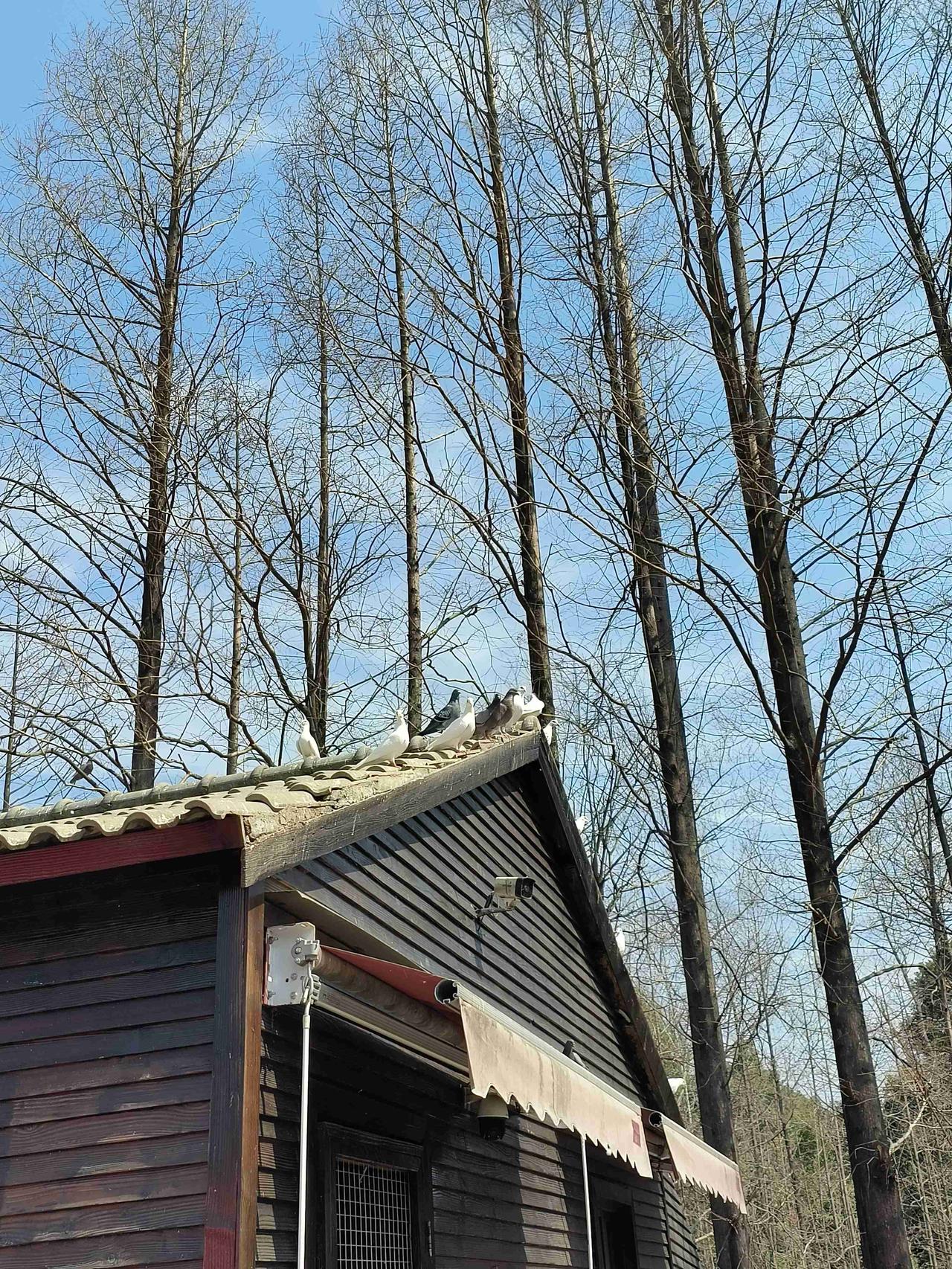 我的今日状态：😎自信酷炫
我这里的天气：☁️阴天