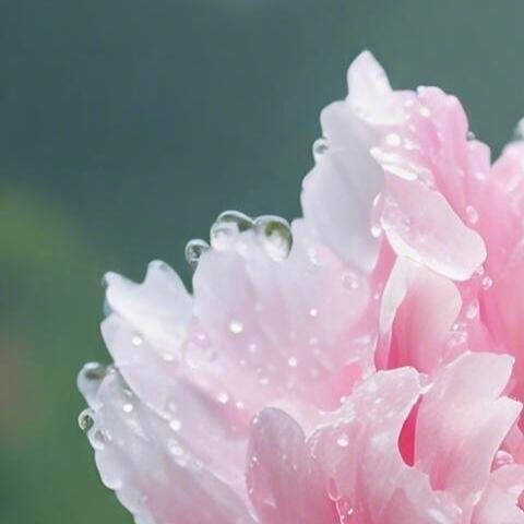 森林驿站  💫阳光信用  💫森林驿站 信任是人与人沟通的必要条件，人生之幸，