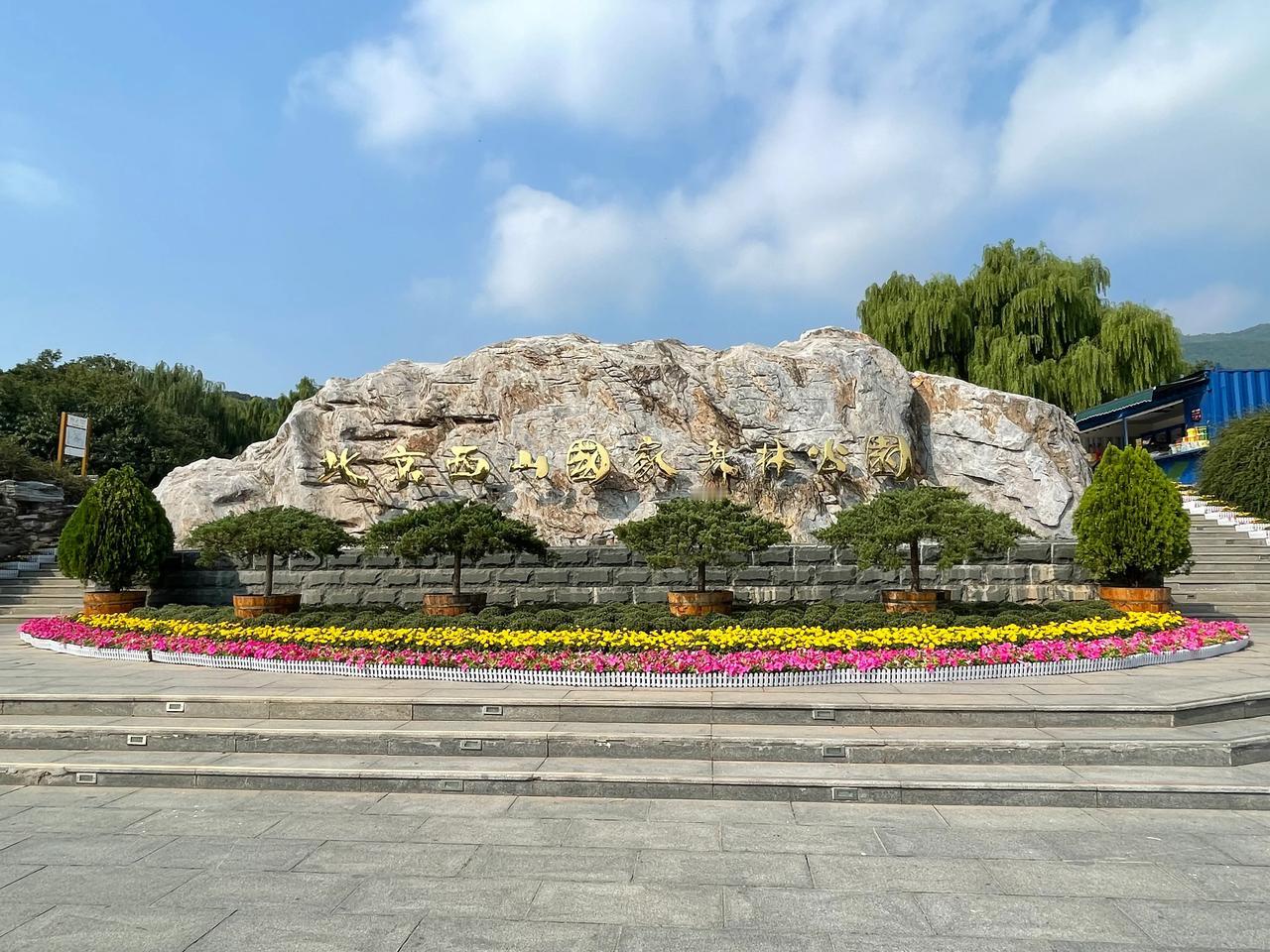 行走在森林公园，有种别样的心情！！