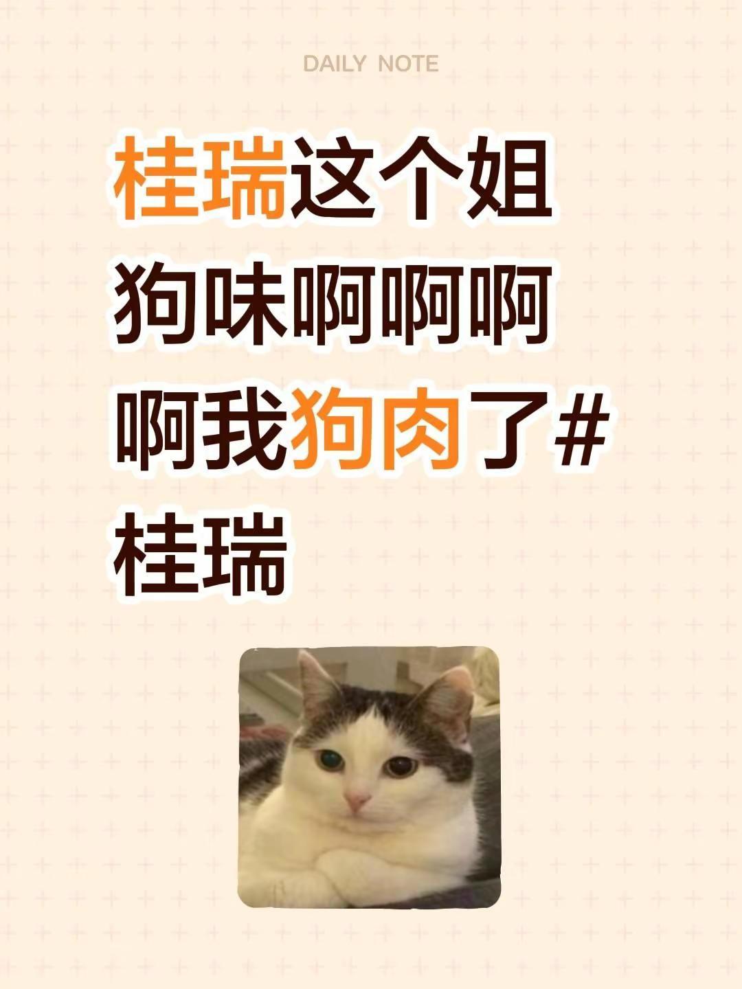 桂瑞这个姐狗味啊啊啊啊我狗肉了