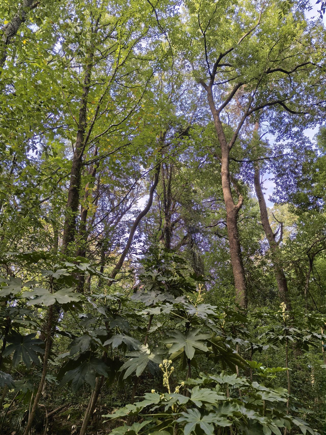 今天我们经理报警了，对于那几个不交物业费的刁民已经忍无可忍，他们这两天不但在每栋