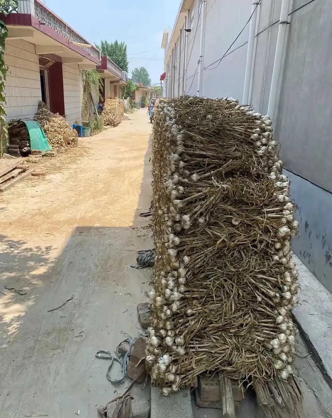 卖不出去了怎么办