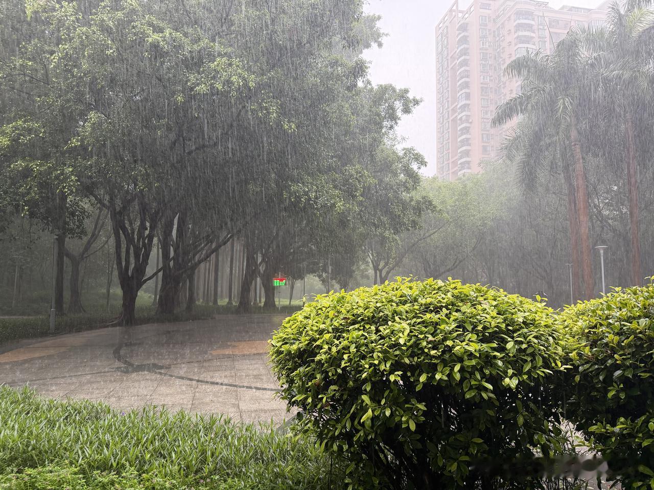 爽！大雨知时节，当秋乃发生，潇潇落原野，洗尽世间尘