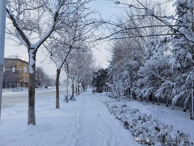 《沁园春·雪》绝对是词中巅峰之作。当年毛主席在重庆谈判期间发表此词，犹如一颗重磅