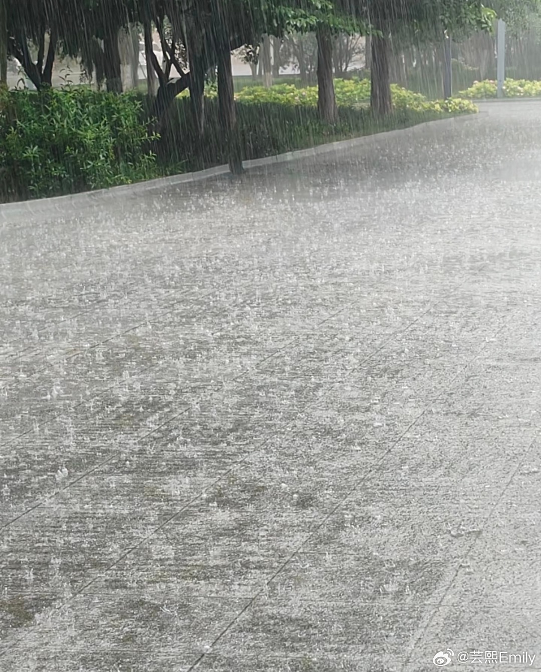 周一这么大雨，我是去上班，不是去渡劫 
