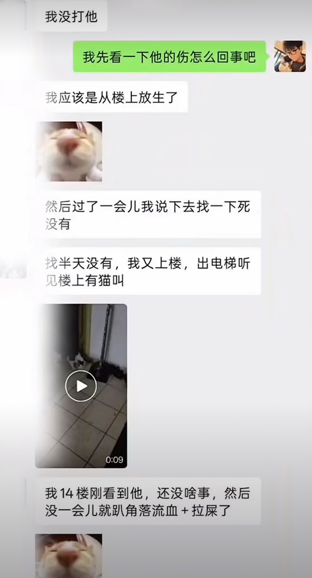 卧槽。。刷到一个人说，他的朋友借住在他家，把他的小猫从13楼丢下去摔死了，还嬉皮