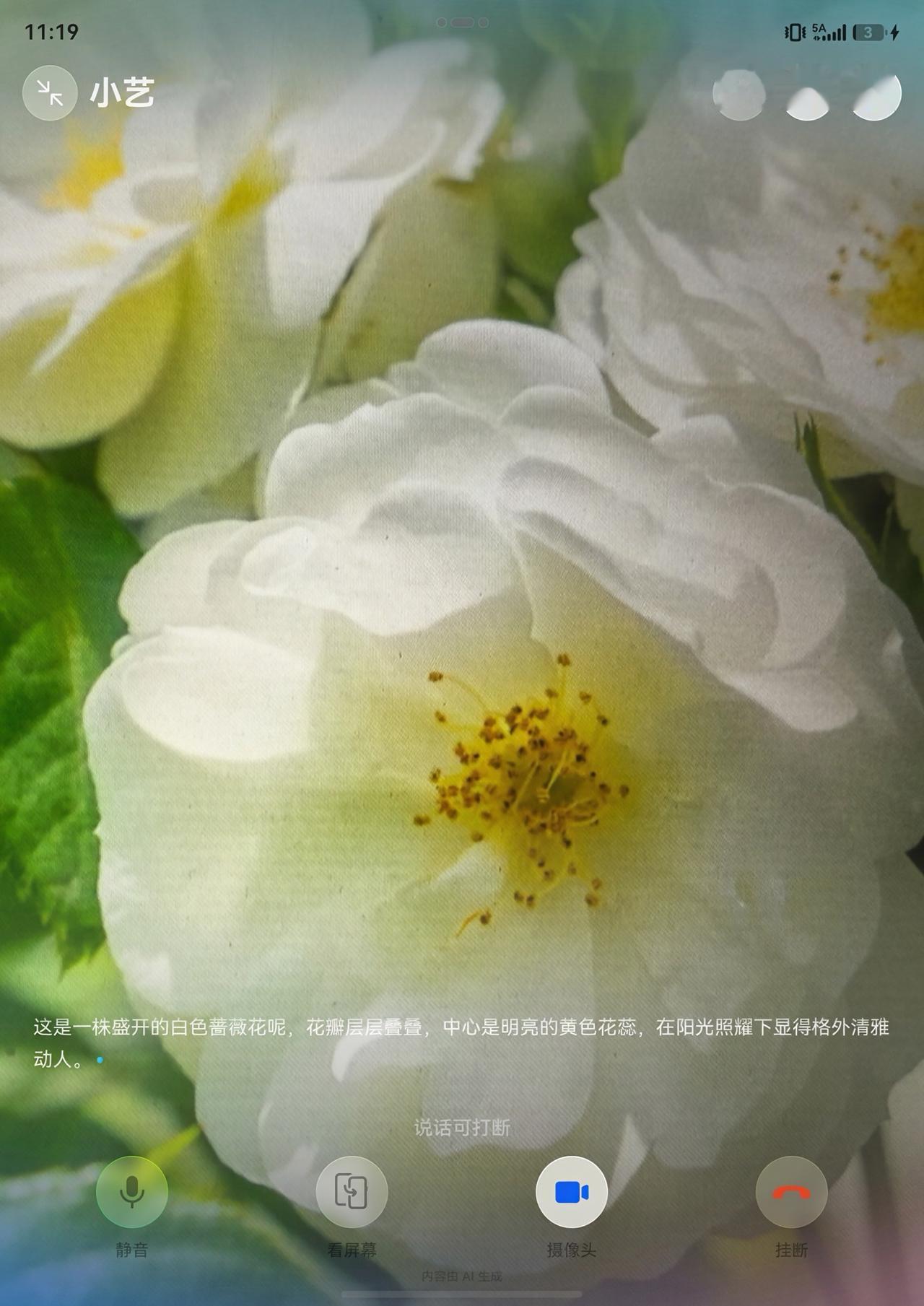 暑期已至，你是选择报团游还是与同学好友自由行？

科技时代，自由行才是年轻人的首