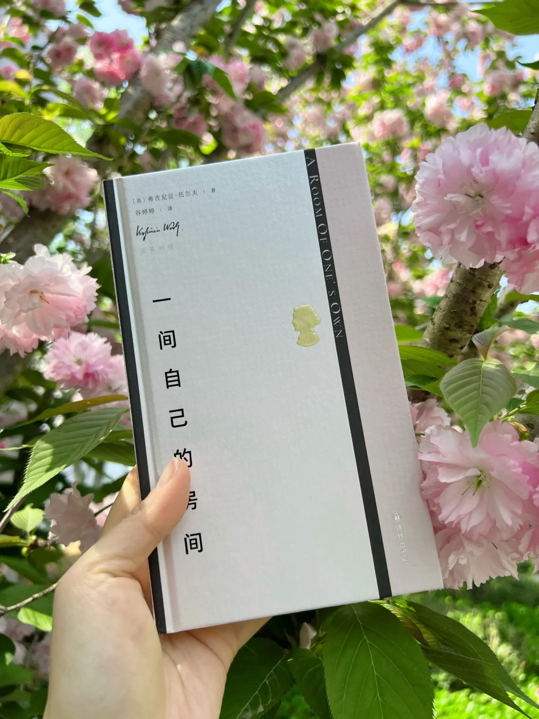 女孩们！恭喜你刷到伍尔夫的书，早读早醒悟！