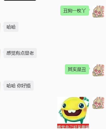 丑丑的平头狗 