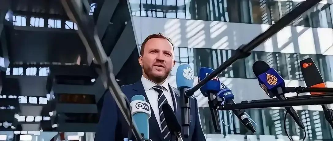 快讯！快讯！
 
爱沙尼亚外长察克纳突然宣布了“这是最后的警告”，称中方无视其提