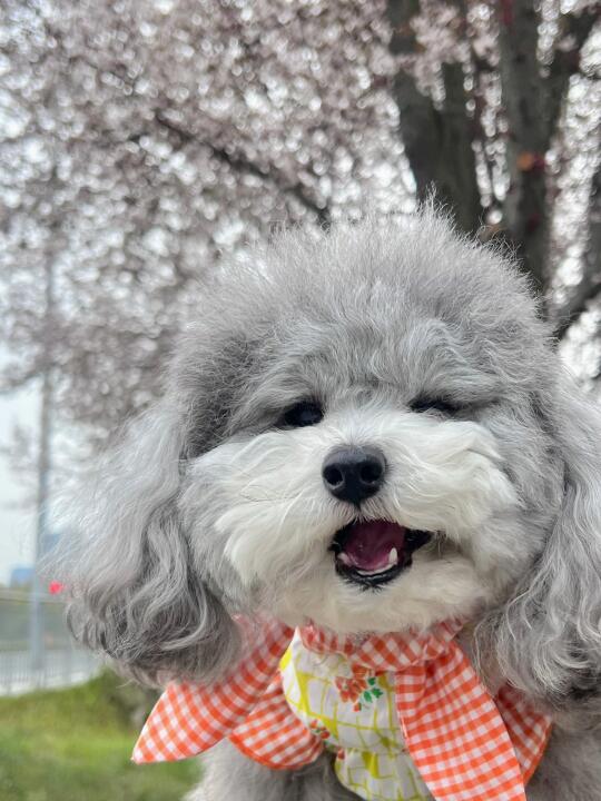 请和我约废