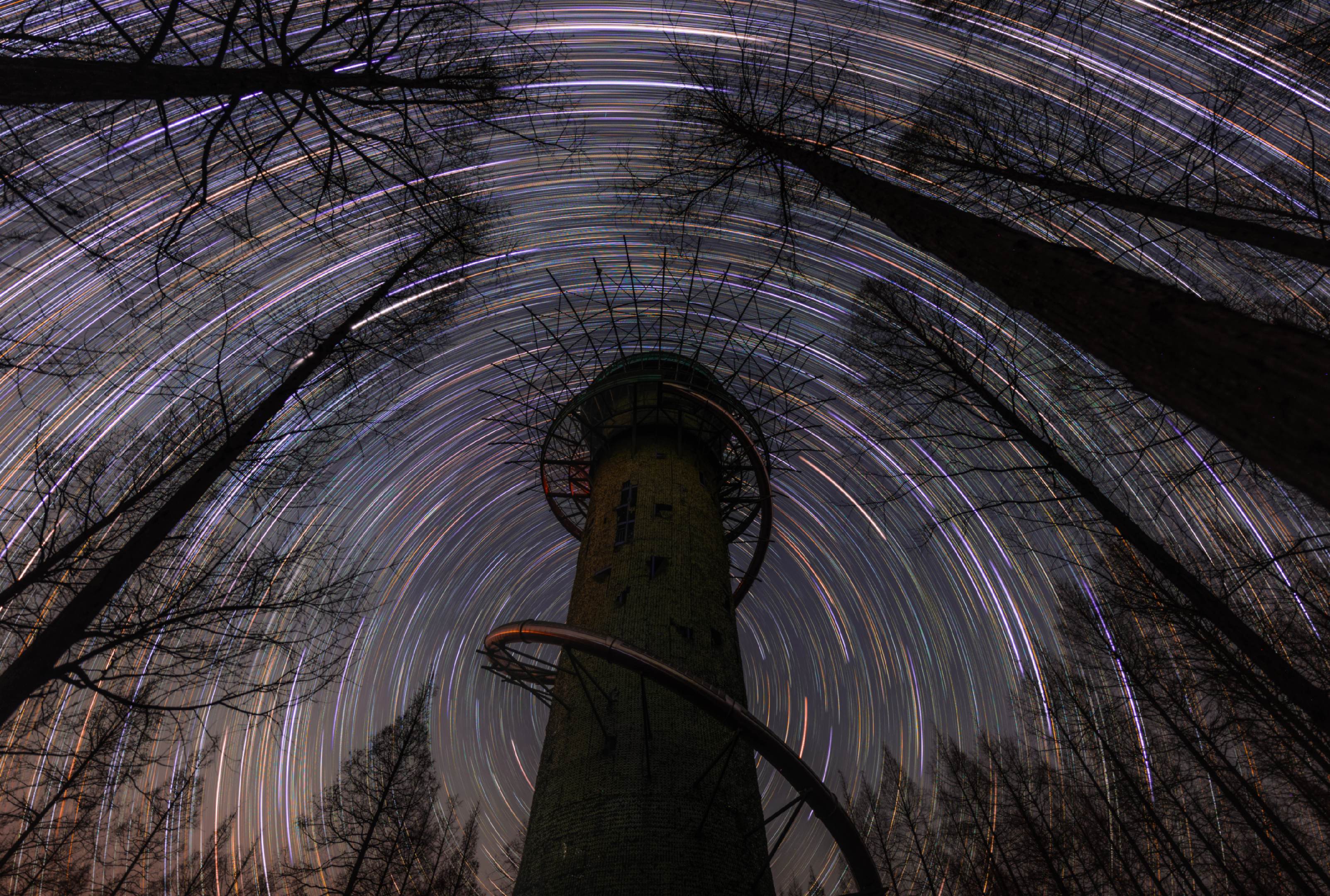 在森林深处见到了梵高眼中的星空。📍江苏盐城东台黄海森林公园 📷A7...