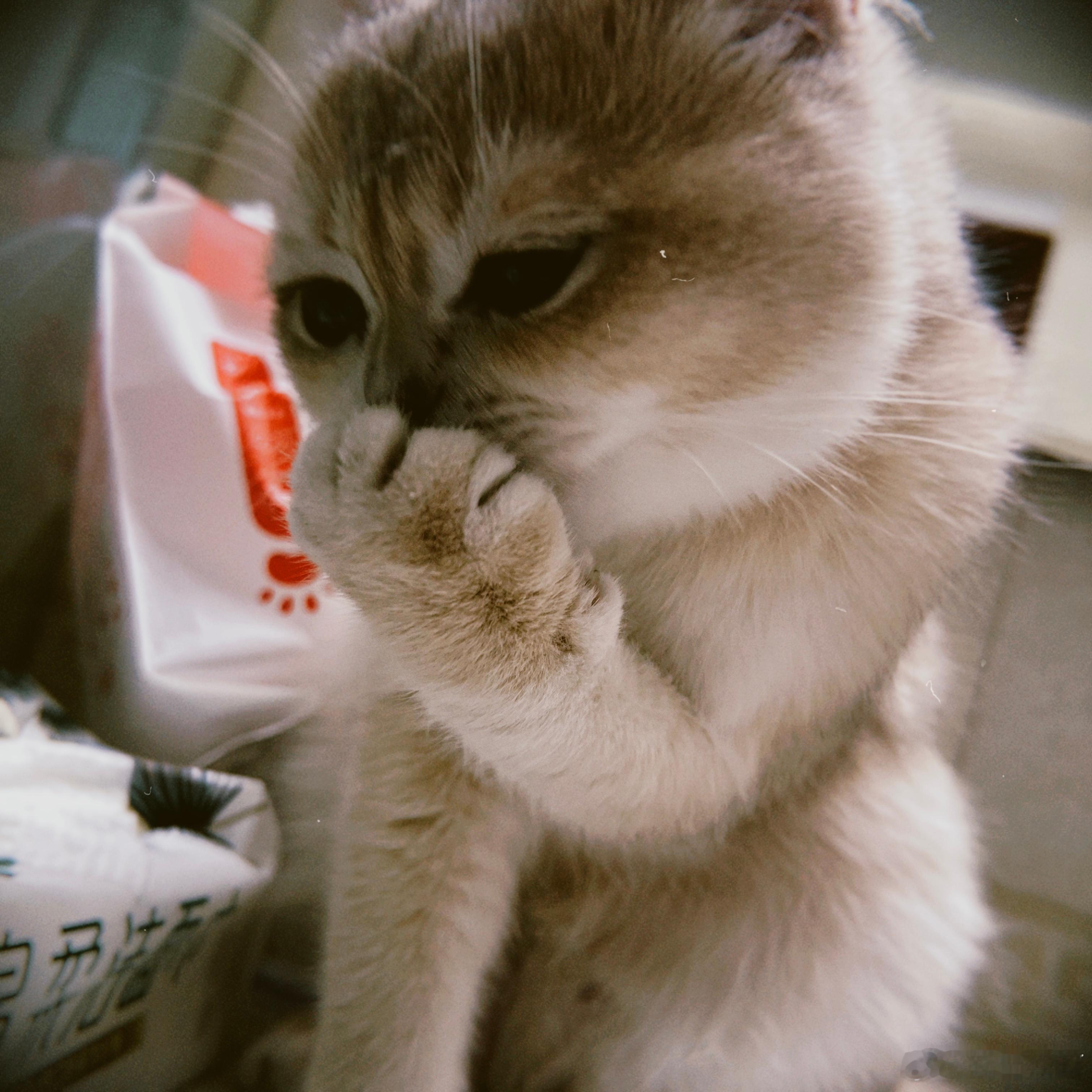 抓拍kk ​​​