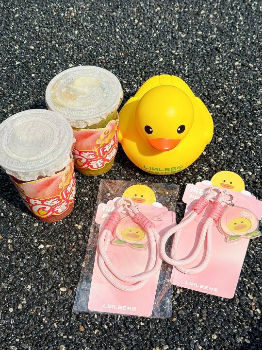 报告姐妹们，30只鸭鸭已集齐！！