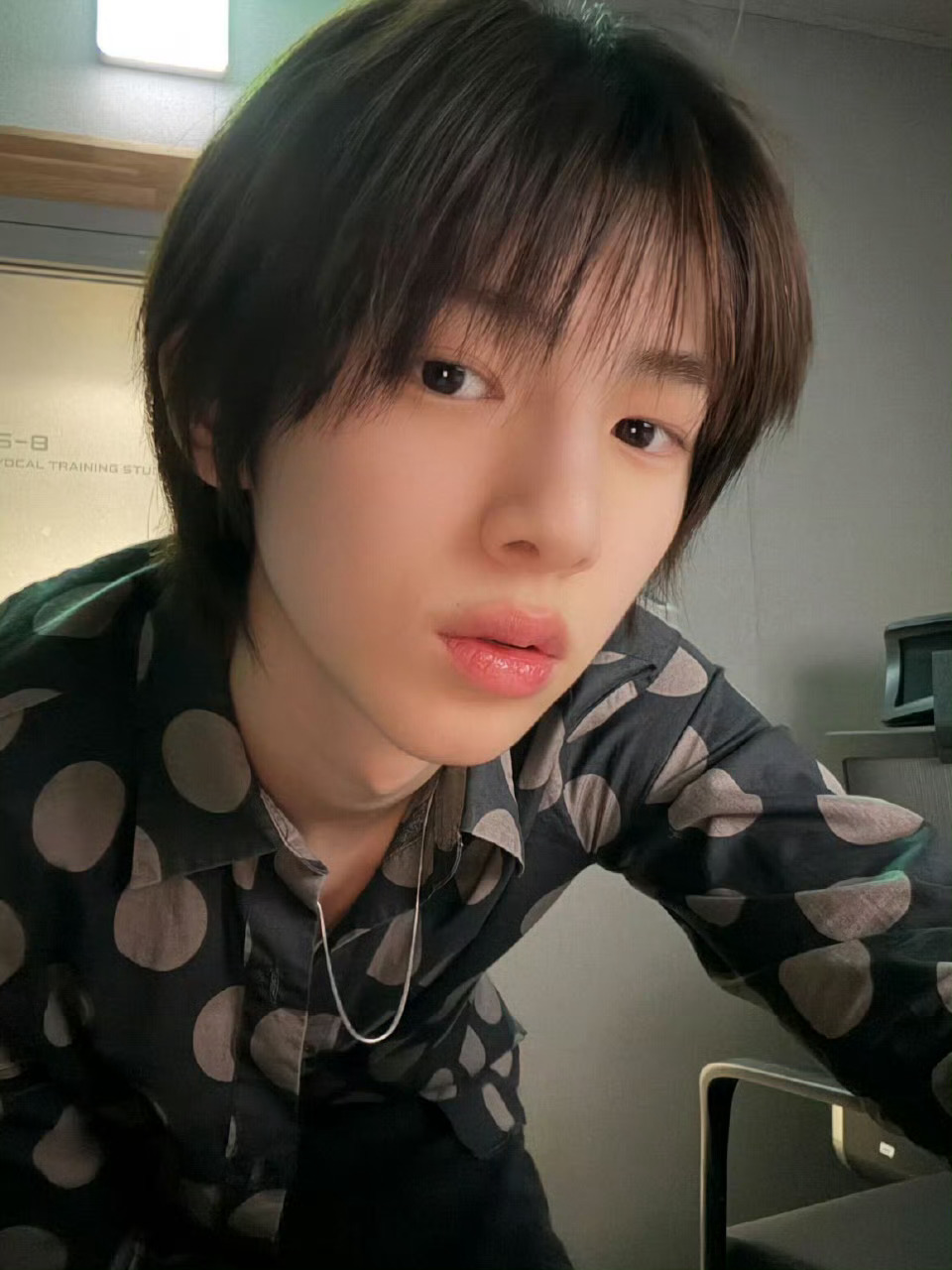 顺毛猪更是萌到没边了 