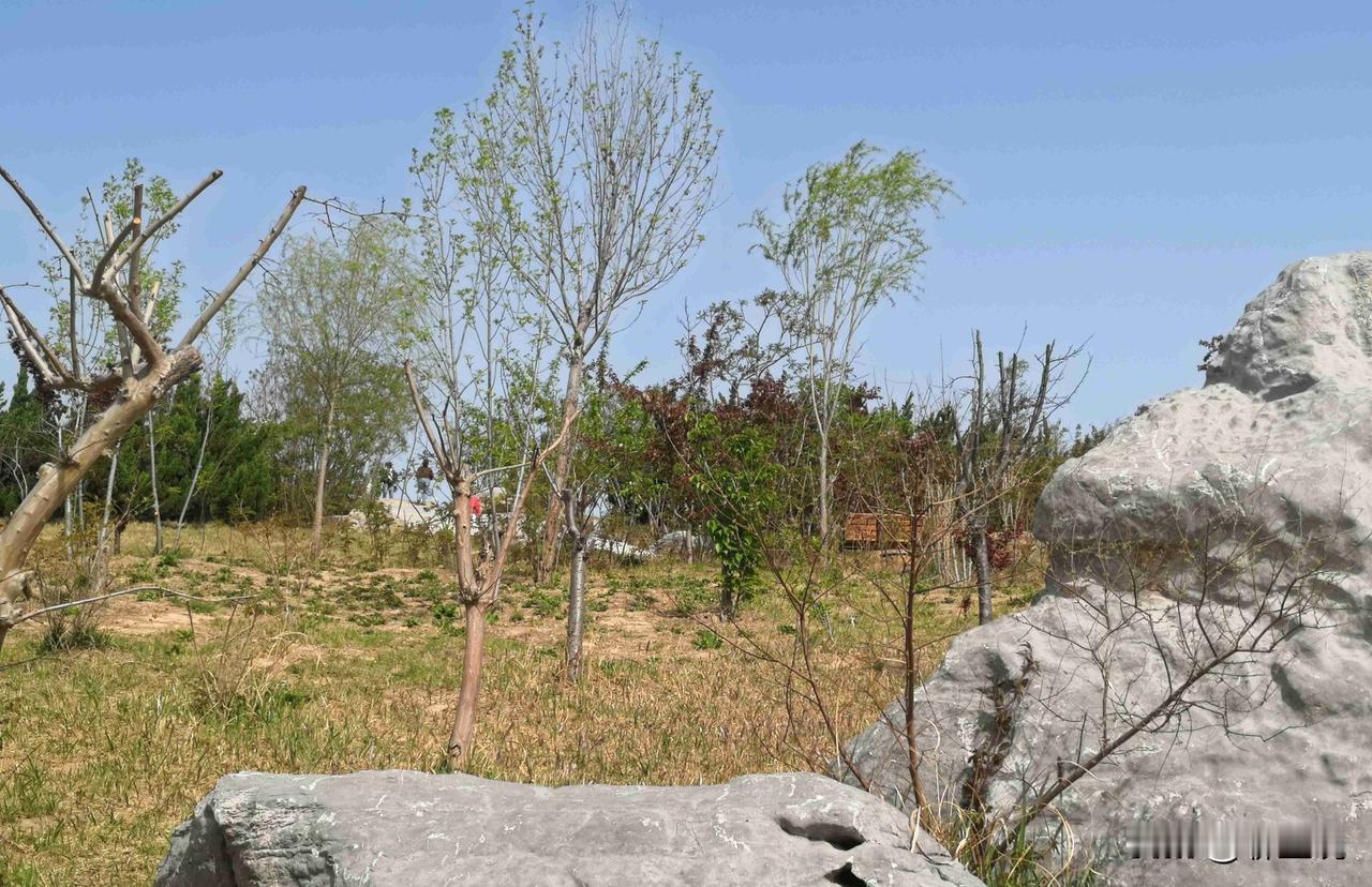 允许自己被爱一回



人这一生，大多在学着付出、体谅、成全，却很少学着，坦然接