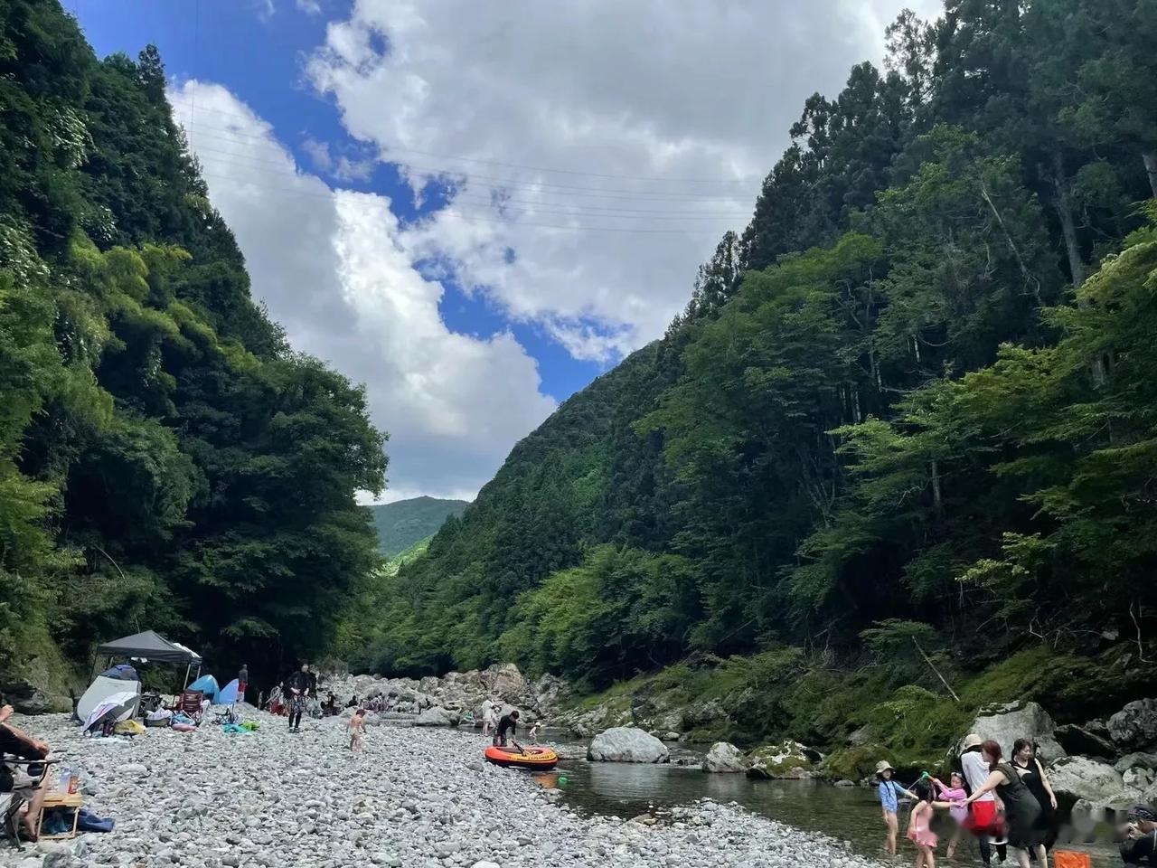 果实与溪流，夏日留存。