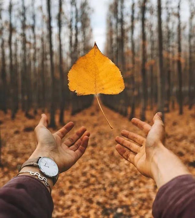 双鱼座这周运势10月28日-11月3日运势
周一，解决好夫妻关系，合作关系，你也