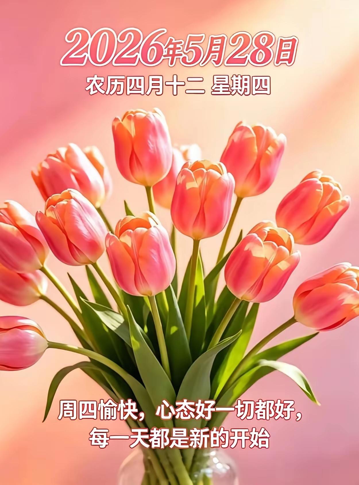 5.28🌹🍎🍎早上好😁♥️🌹
鲜花美，不如问候欣慰！愿我们：朝夕欢喜常
