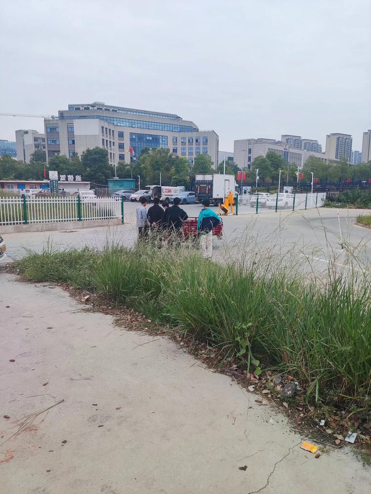 #秋日生活打卡季#去驾校报名