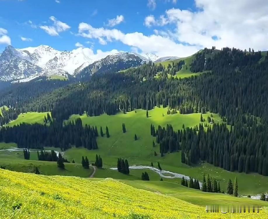 为什么说这春假放得好？因为它读懂了我们的心里话
春假+清明，足足五天！这不仅是一