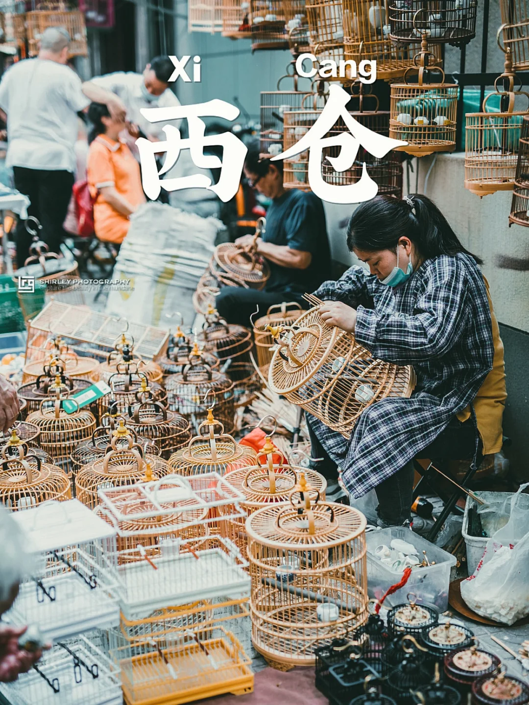 西安拍照｜西仓花鸟市场，藏于深巷的人间烟火