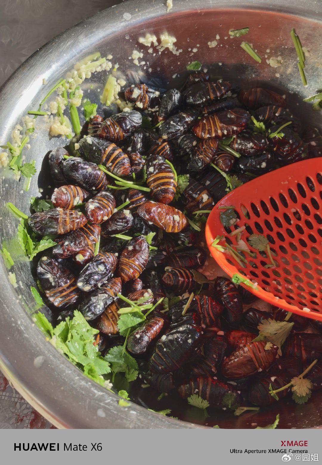 开饭了，全是好吃的