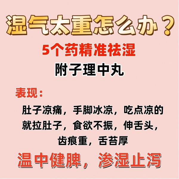 湿气太重怎么办？5个强力药精准祛湿！

1.附子理中丸

2.健脾胃

3.二陈