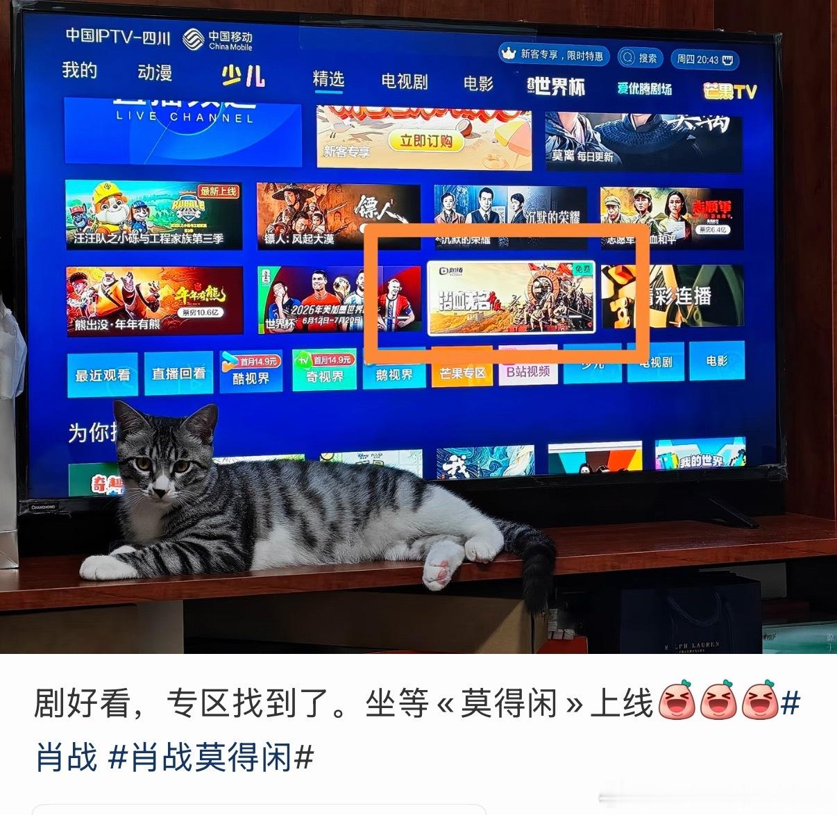 剧好看专区，这么看是在电视界面上自动有，回头看看家里电视机，坐等《莫得闲》上线！