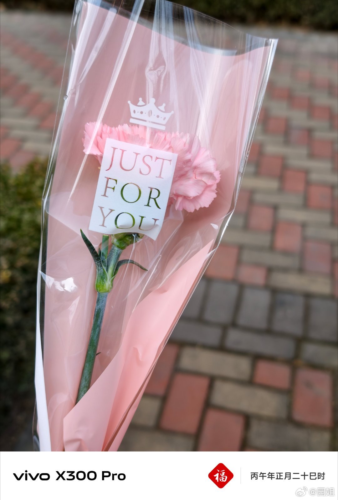 今天的浪漫是小区物业给的