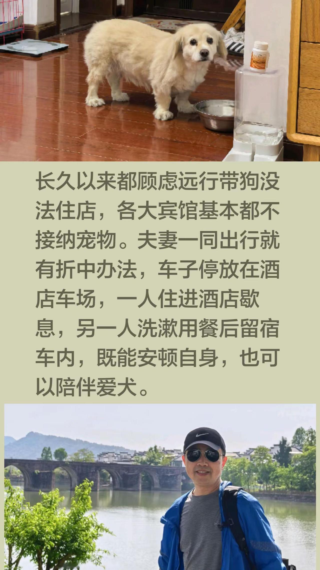 我评论了@小唠叨 的作品：长久以来都顾虑远行带狗没法住店，各大宾馆基本都不接纳宠