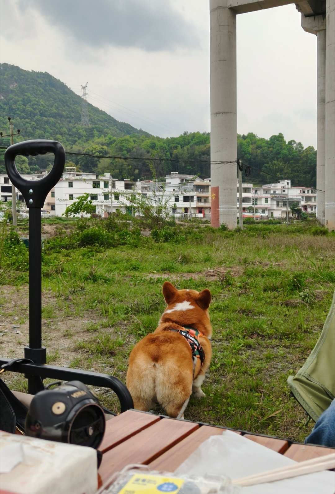 早，今儿天气不错，自助洗车都满了，我也来洗洗干净准备露营去，⛺️真的会上瘾啊，一