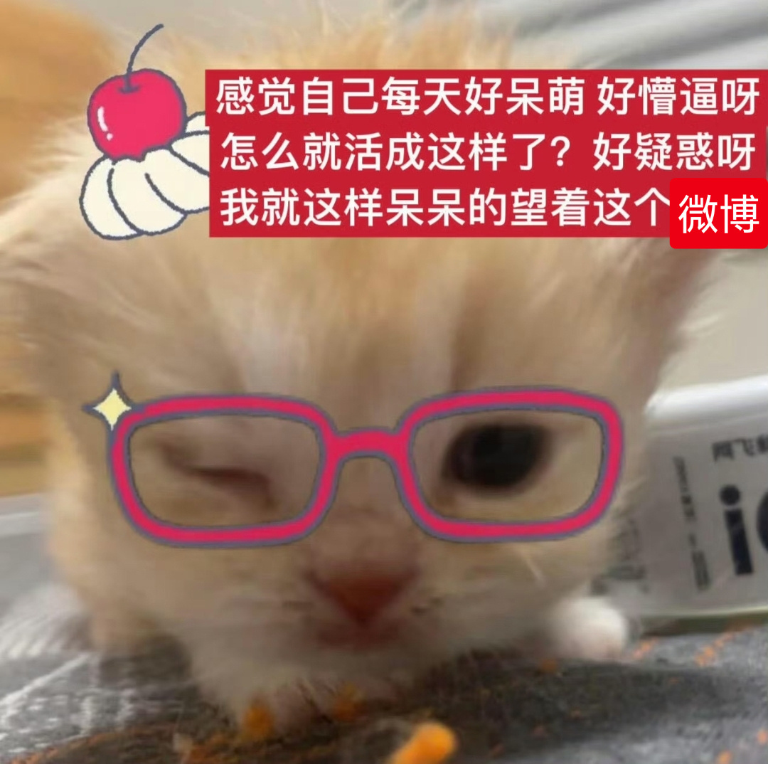 分享图片 