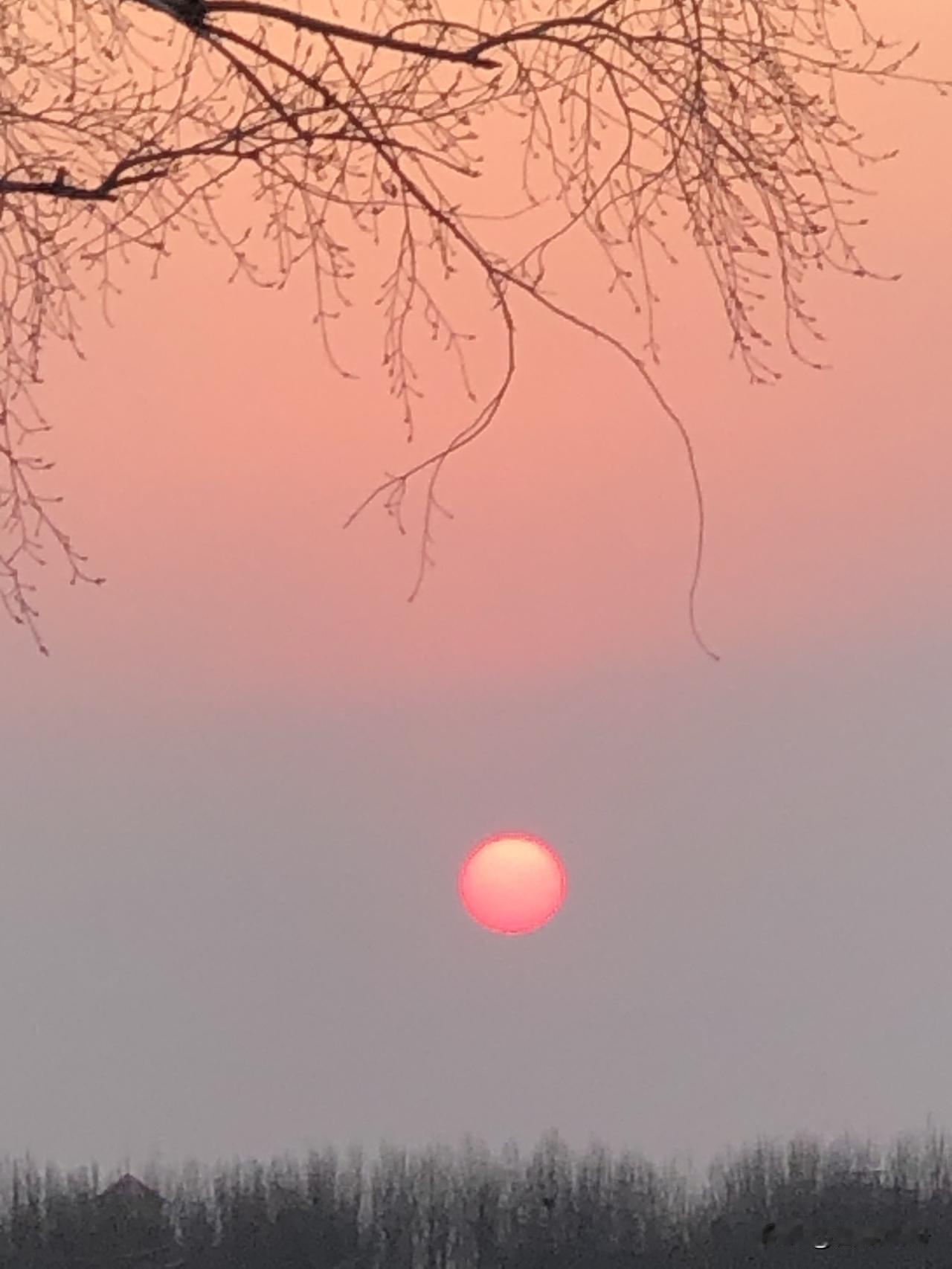 天南地北大拜年夕阳无限好