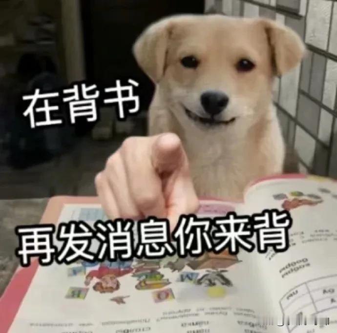五一也不能放松学习