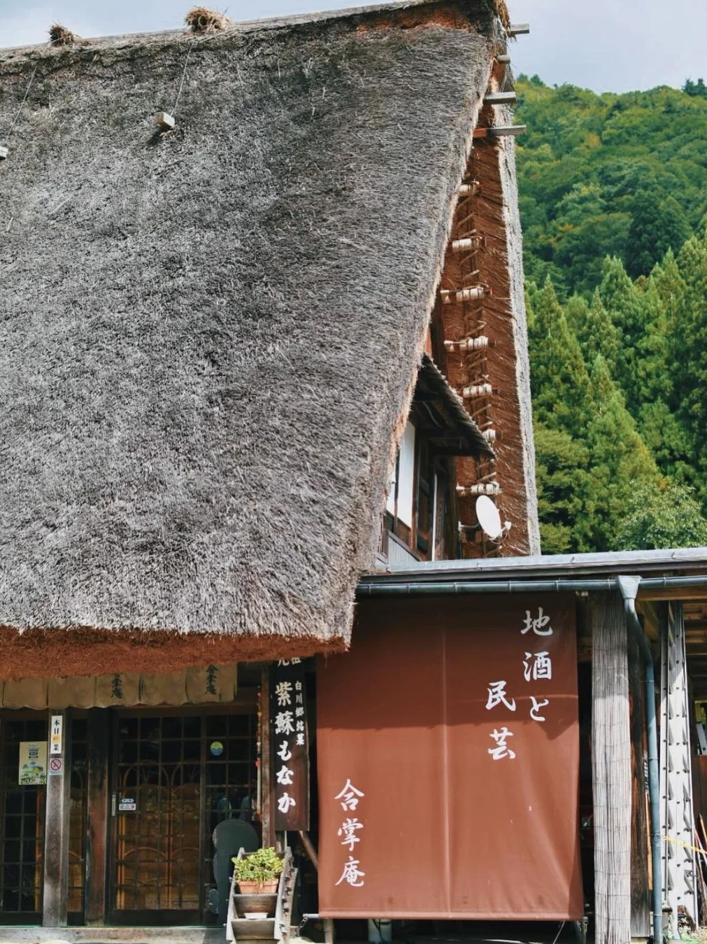 日本避暑|不懂长野的人有难了❗阿寺溪谷攻略