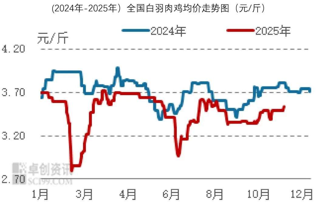 2025年12月食材采购行情：蔬菜价格高位运行，生猪价格降幅收窄