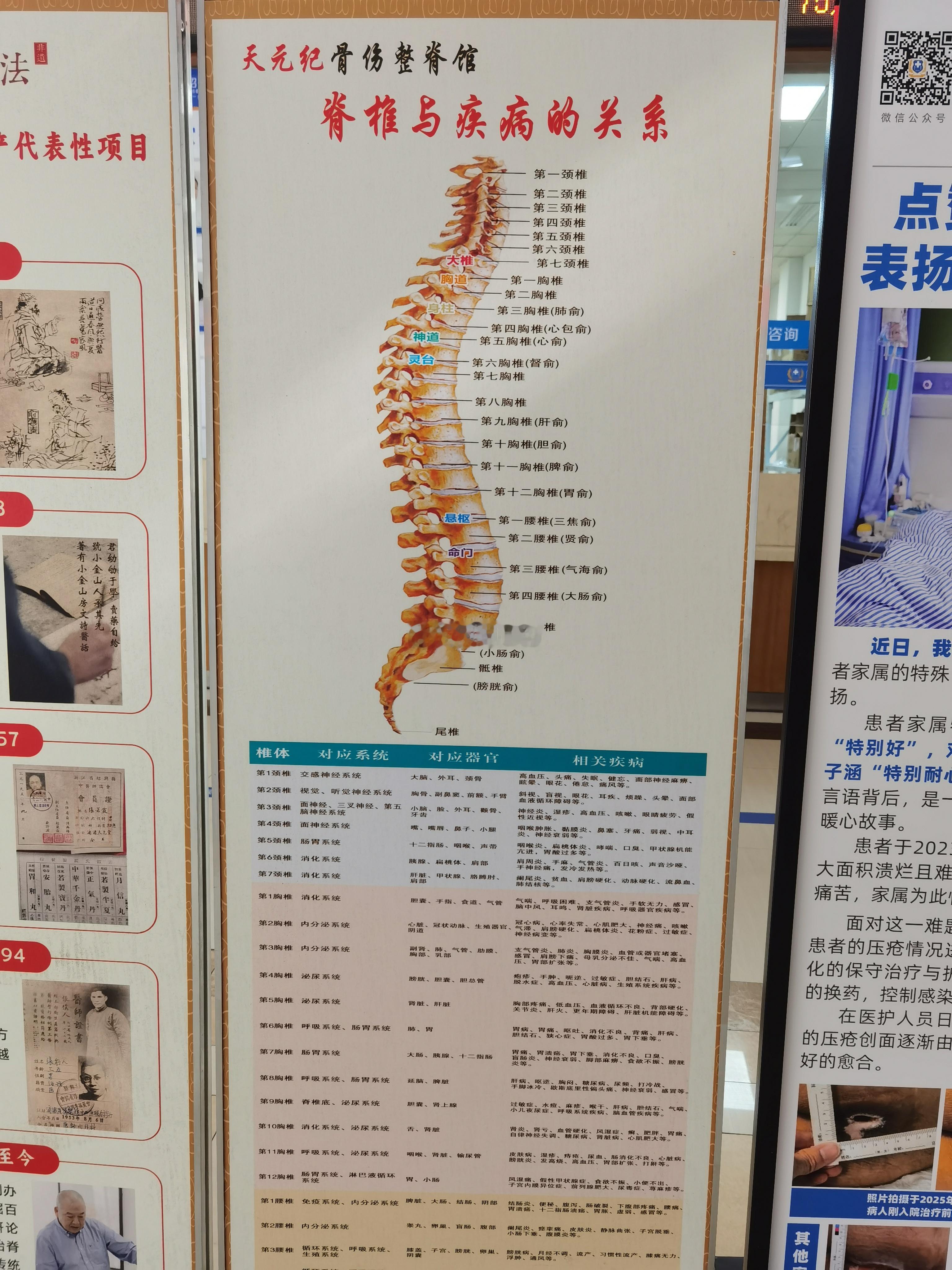 脊椎与疾病的关系