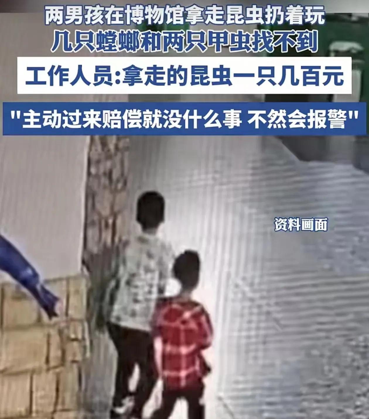 活昆虫被孩子拿走还扔着玩？博物馆回应：近日，安徽合肥一昆虫博物馆内活虫丢失，工作