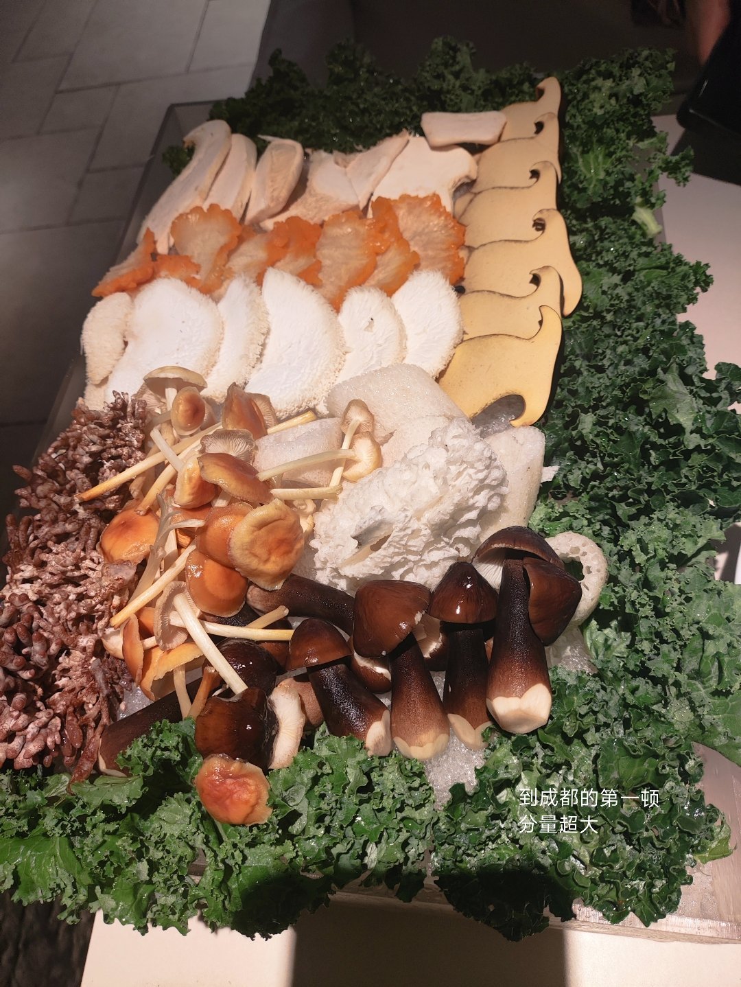 一些成都碎片👣 ​​​