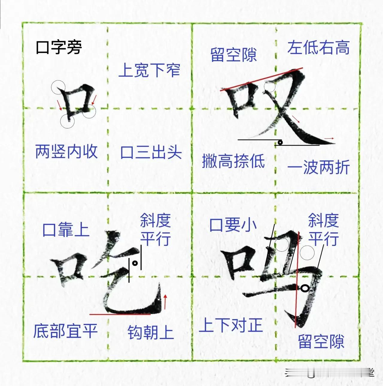 第二十一课：口字旁
口字旁书写规律： 1.口字宜小，上宽下窄。 2.口要靠上，两