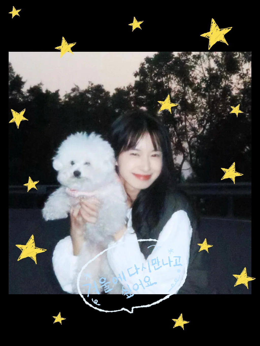 ✨